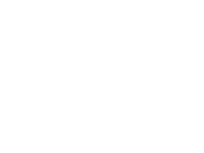 Florida Spa Association logo