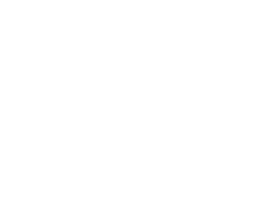 International SalonSpa Business Network logo